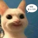 유경동물병원 | 9월 일상