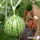 박병찬농장 이미지