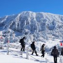 한라산 뉴시스