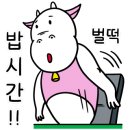 전통김치찌개전문점 이미지