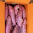 명지농장 이미지