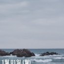 댕바우 이미지