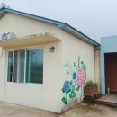 홈인제주 이미지