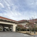 제주 스탠다드 | 제주신라호텔 스탠다드 트윈룸 마운틴뷰 숙박 후기