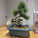 (주)넷돌 | 주여제발.. 이런 날.. 보고계신다면.. 시험에.. 들게 마옵시고..