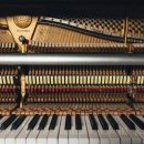 다인로얄팰리스배곧5차(배곧로얄팰리스5차) 이미지