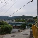 가덕천 티스토리