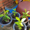 추억백화점 이미지