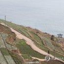 푸르다남해펜션 이미지