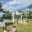 에코팜 | 가을 나들이 진천 농장 카페｜아이랑 즐기기 좋은 에코팜 체험