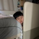 지안어린이집 | 2월 셋째주 일상-31w(설연휴, 어린이집 수료, 소림마라로제샹궈, 애니멀스타, 배냇저고리 구입)