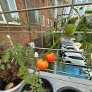 아침책밥 이미지