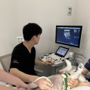 화성동물병원 - 성주군 시장길 6 | 화성동물병원