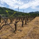 북암농장 이미지