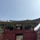 고창읍성 | 고창 읍성 봄 산책 후기 주차 입장료 꿀팁 정리