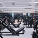 바디핏 피트니스 | [도마동 헬스장] 지상 헬스장의 쾌적함! 바디핏 피트니스 일일권 리뷰 이벤트✨