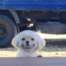 네모네모 이미지