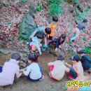 자연유아학교 이미지