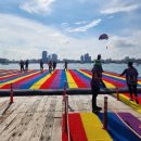 파타야B | 태국 파타야 산호섬 해양 액티비티 스노쿨링 오전반일투어 내돈내산 솔직후기