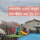 힐링풀빌라 | 대형견동반 가능한 감성숙소 메르시풀빌라 계곡 힐링 후기