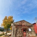 채운8통마을회관 | 우리 동네 연천 핫플 카페 연천회관 크리스마스 감성까지 꽉 채운 연말 나들이 카페 메뉴 가격, 할인...