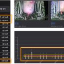 산수유 양돈 교육농장 이미지