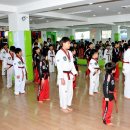 연세 이글 태권도 이미지