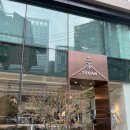 서초동 카페 "토다 베이글" TODAH Bagle 후기