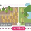 진흥마트 이미지