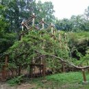 종로-종로-종로-종-251 이미지