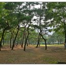 뒷동산 티스토리