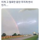 무지개복사 이미지