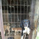 한겨레농장 이미지