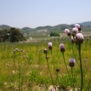 달밭농장 이미지