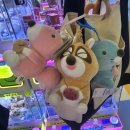 뽑기아지트 | [현백 중동점 인형뽑기] 가챠,뽑기방 3곳 비교후기 /인형뽑기팁/아지트케이,캑티가챠샵,대빵오락실
