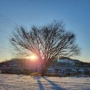 로그인편의점 안성고삼점 이미지