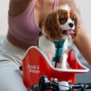 둔촌동물병원 이미지