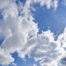 더 그레이스 골프 | [청도그레이스CC] 겨울 라운딩 후기 금요일 골프