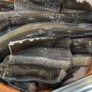 동해숯불장어 이미지