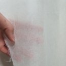 장지방 | 비늘용 +장지방 삼육지 후기
