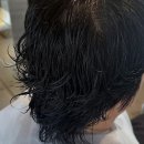 봄바람살롱 | 내 머리에도 봄바람 불어올까? 파주 운정미용실 방문 후기