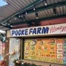 행복을 farm | 아메리칸빌리지 밥집, 오키나와 타코라이스｜오키나와 태교여행 ep3. 오키나와 포케팜(Pocke Farm)