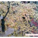 관우약국 이미지