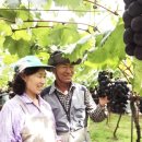 샤인하우스 가동 이미지