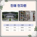 진해천자원 이미지