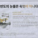 도서출판 반도