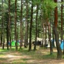 양양오토자동차 이미지