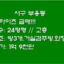 다옴하이츠 네이버블로그
