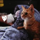 금정이비인후과의원 이미지