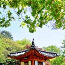 호암미술관 이미지